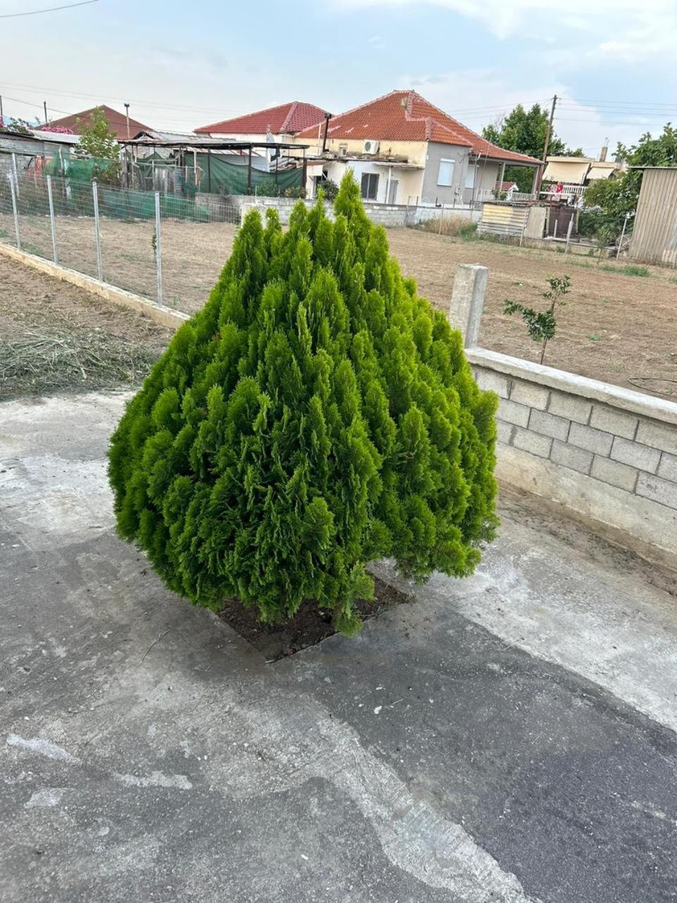 Amaya Pine Rooms Keramotí Buitenkant foto